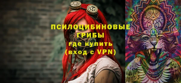 эйфоретик Алзамай