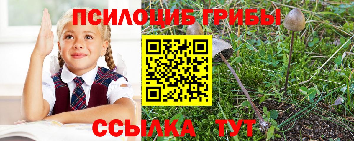 Галлюциногенные грибы мицелий  Вход с VPN  Балабаново 