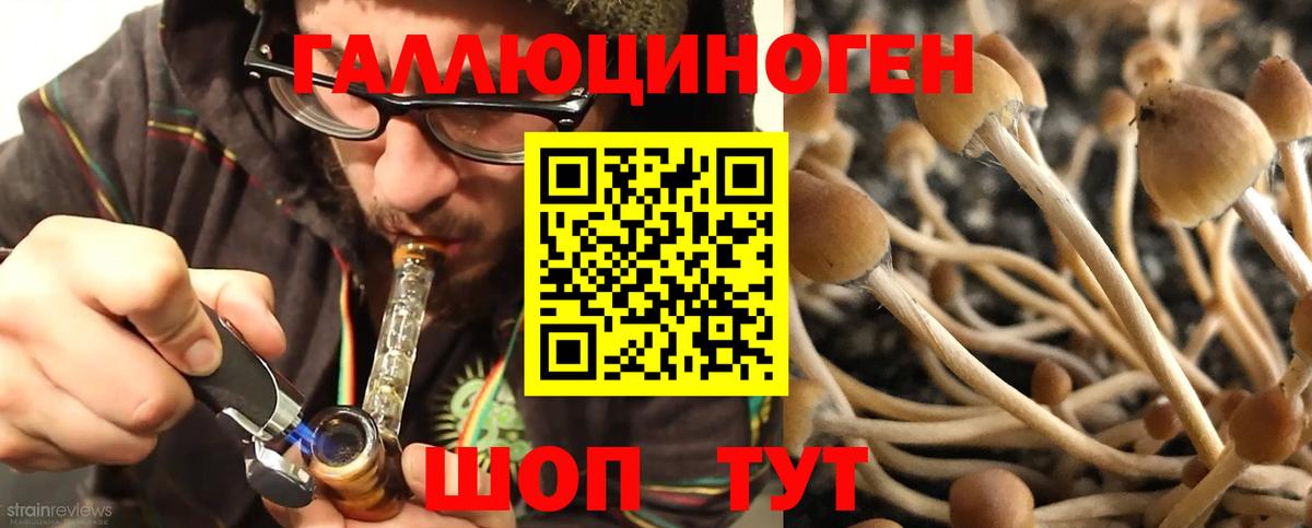 Галлюциногенные грибы GOLDEN TEACHER Балабаново