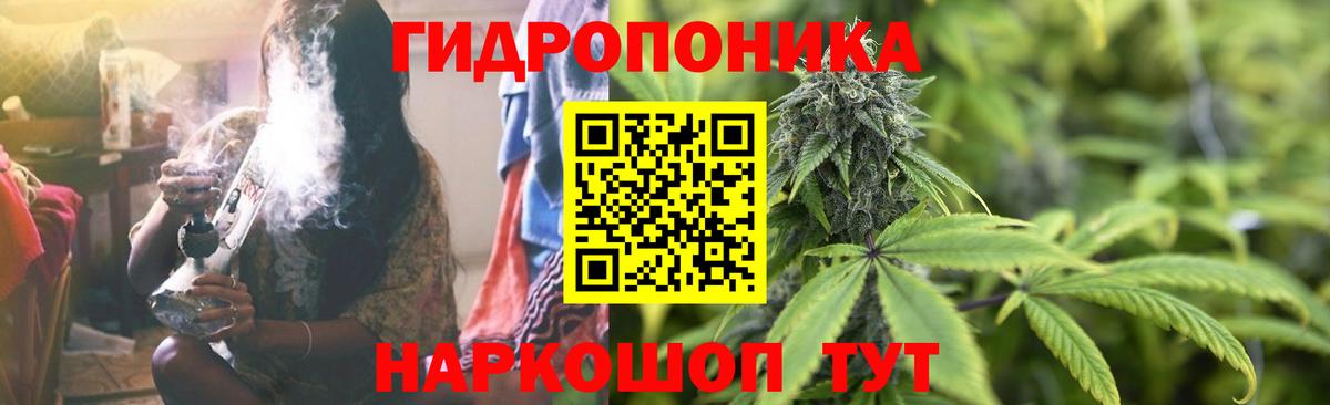 Канабис план Балабаново